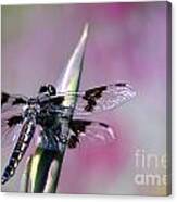 Dragonfly Bokeh Canvas Print