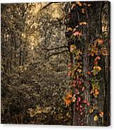 Dressed For Fall Canvas Print