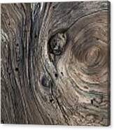 Driftwood Swirls 4 Canvas Print