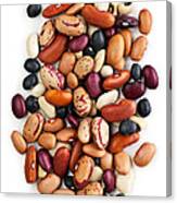 Dry Beans Canvas Print