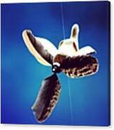 Dumbo # Thailand # Elephant # Fly # Canvas Print