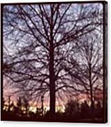 #dusk #tree Canvas Print