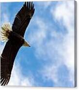 Eagle Overhead Canvas Print
