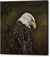 Eagle Profile Canvas Print