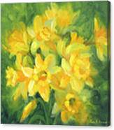 Easter Daffodils Canvas Print