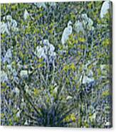 Egrets At Roost Canvas Print