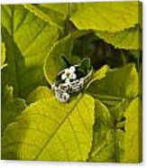 Engagement Ring And Flower 1 Canvas Print