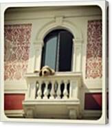 #europe #italy #milan #balcony #toy Canvas Print