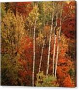 Fall In Jackson Hole Canvas Print