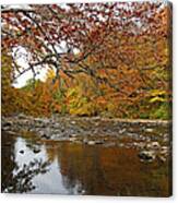Fall On Laurel Hill Creek Canvas Print