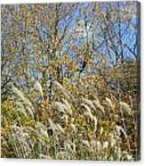 Fall Scape In Connecticut Canvas Print