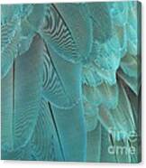 Feathery Turquoise Canvas Print
