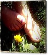 Feet In Grass - Summer Meadow Canvas Print