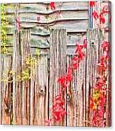 Fence Background Canvas Print