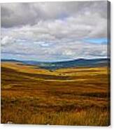 Fields Of Grain Canvas Print