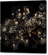 Fireworks Crackle Canvas Print