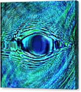 Fish Eye Canvas Print