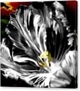 Flaming Flower 2 Canvas Print