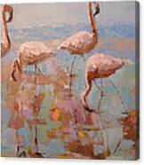 Flamingoes Canvas Print