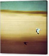 Flight Over The Beach Canvas Print
