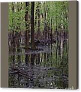 Floating Forest-i Canvas Print