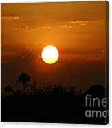 Florida Sunset Canvas Print