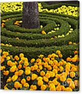 Flower Bed Canvas Print