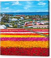 Flower Fields Canvas Print