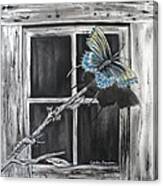 Fly Away Free Canvas Print