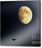 Fly Me To The Moon Canvas Print