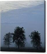 Foggy Pennsylvania Treeline Canvas Print