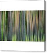 Forest|#tweegram #igers #instamood Canvas Print
