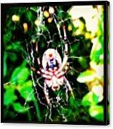 Found This #spider In The Creek Earlier Canvas Print