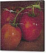 Four Tomatoes Crackle Canvas Print