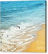 Free Spirit Canvas Print