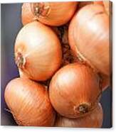 French Onions Canvas Print