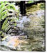 French Quarter Courtyard Fountain Macro New Orleans Fresco Digital Art Canvas Print