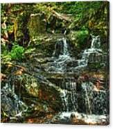 Gentle Falls Canvas Print