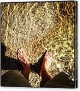 Get Your Feet Wet Canvas Print