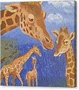 Giraffes Canvas Print