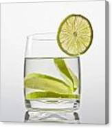 Glass With Lemonade Canvas Print