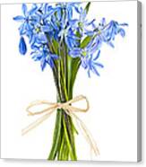 Blue Wildflower Bouquet Canvas Print