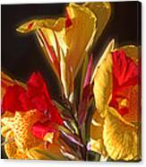 Glowing Iris Canvas Print