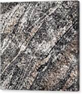 Gneiss Rock Pattern Canvas Print