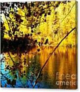 Gold And Blue Pond Canvas Print