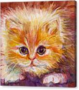 Gold Tabby Kitten Canvas Print