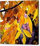 Golden Leaves In Zion Canvas Print