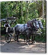 Good Hope Estate Horse And Carriage Canvas Print