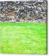 Grass And Stone Wall Canvas Print