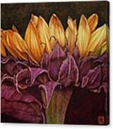 Great Sunflower Canvas Print